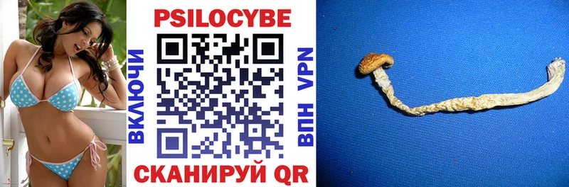 МЕГА ссылка  Сунжа  Псилоцибиновые грибы ЛСД  наркошоп 
